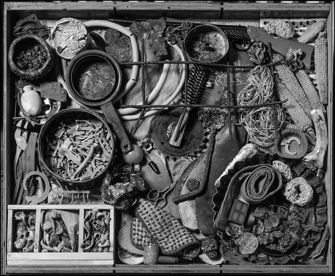 Still life of various objects arranged in a box.