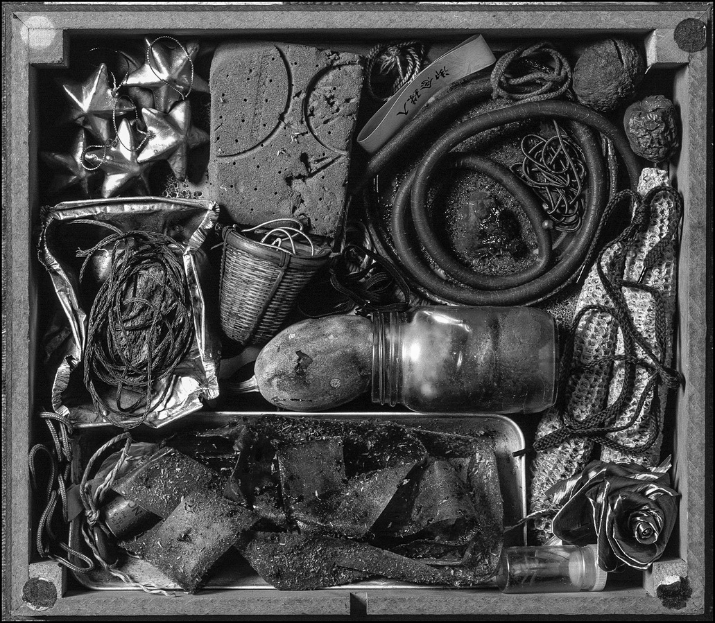 Still life of various objects arranged in a box.