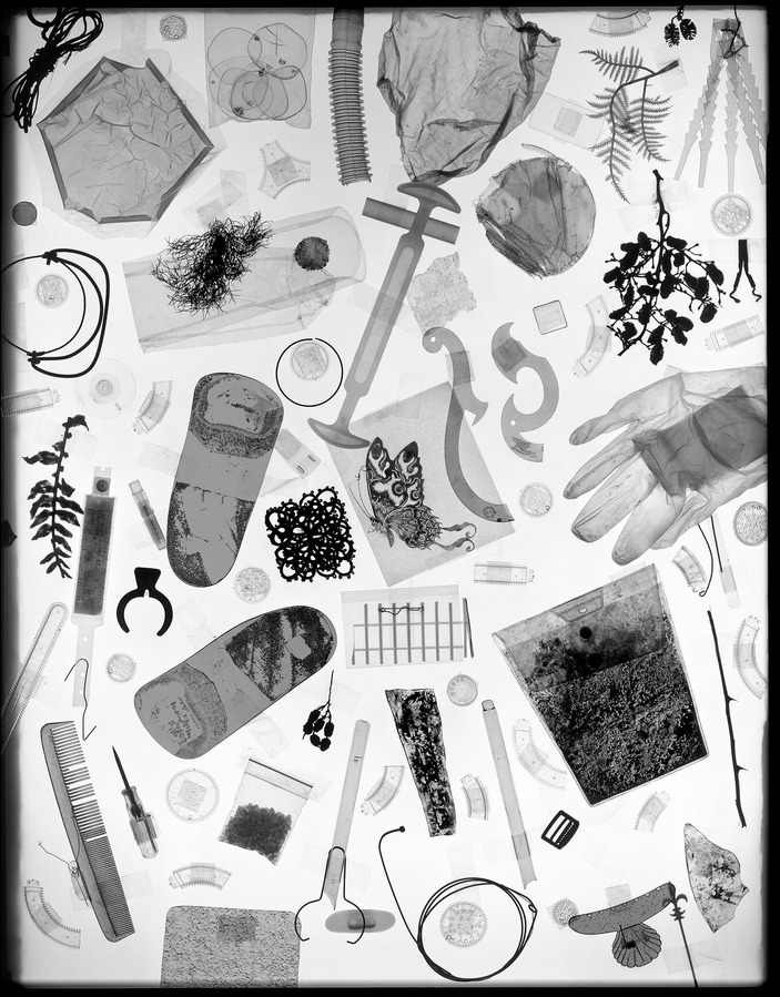 Still life of various objects arranged on a light box.