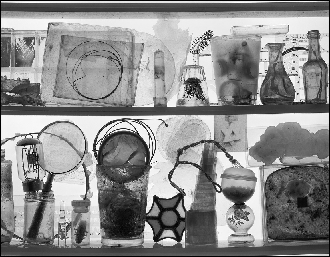 Still life of various objects arranged on the shelves of a light box.