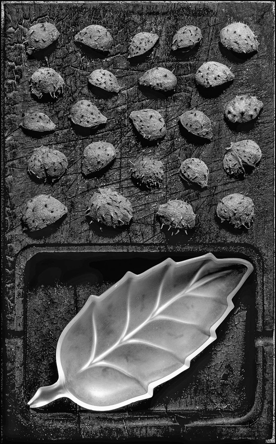 Still life of nutshells and a glass dish arranged on a cutting board.