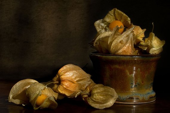 Cape Gooseberries.  A still life image with pottery by Kate Boivin and photography by Holly Cawfield using cape gooseberries, natural light and textures.