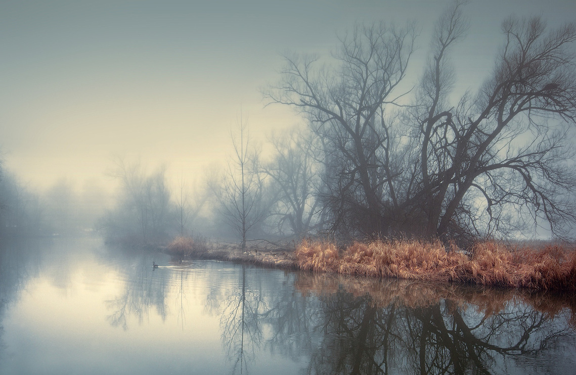 View of the Credit River in Norval on a foggy day.