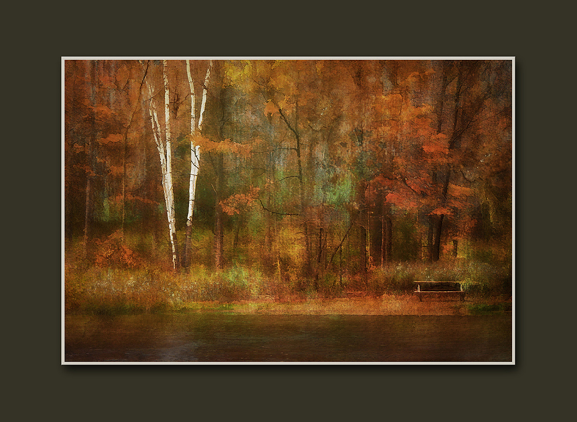 Picnic table and birch trees in Terra Cotta Conservation Area, Ontario