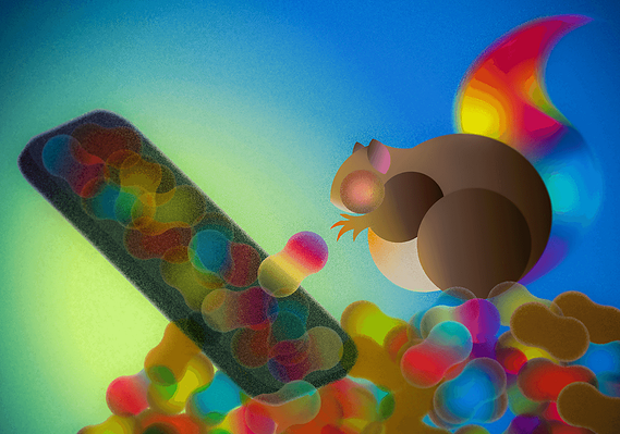 Illustration of a chubby squirrel stuffing its face with colorful nuts in the same color as popular social media platforms as a metaphor of how addictive social media is.
