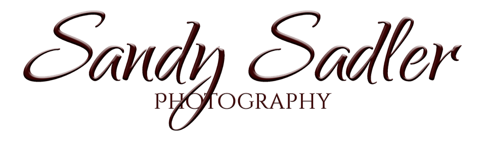 Sandy Sadler Photography