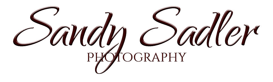 Sandy Sadler Photography