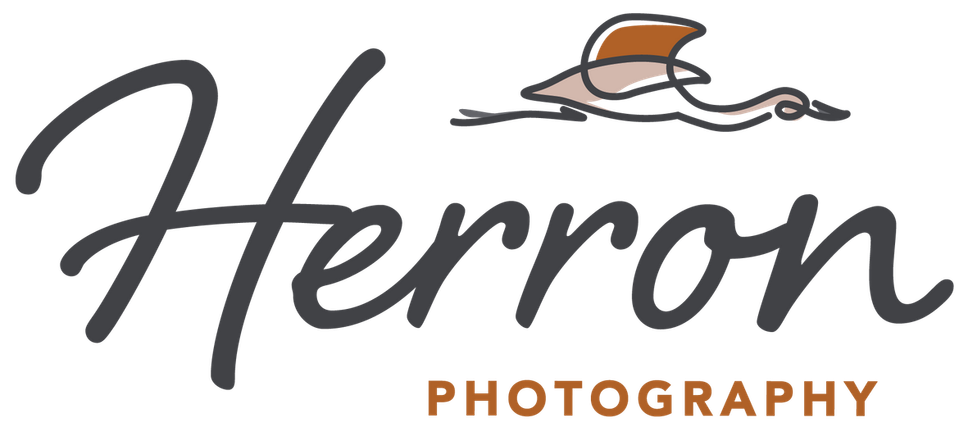 Herron Photography