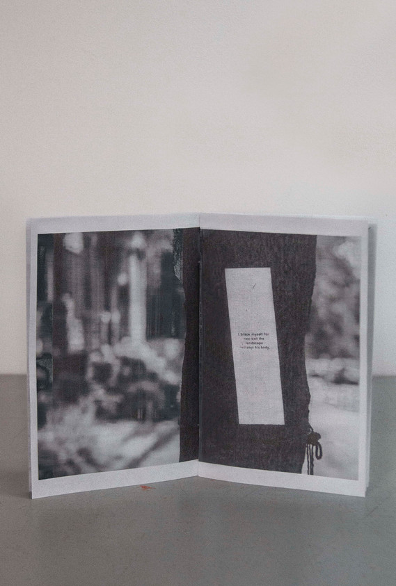 Cover of zine of the project