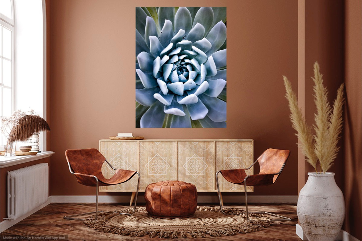 Art Print of large blue green succulent on wall that is brown in a contemporary home. 