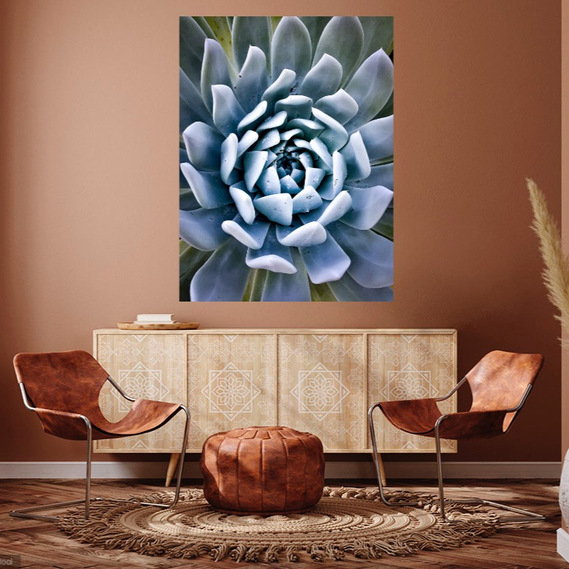 Large California Succulent Print / image on brown wall of contemporary home with brown, leather furniture 