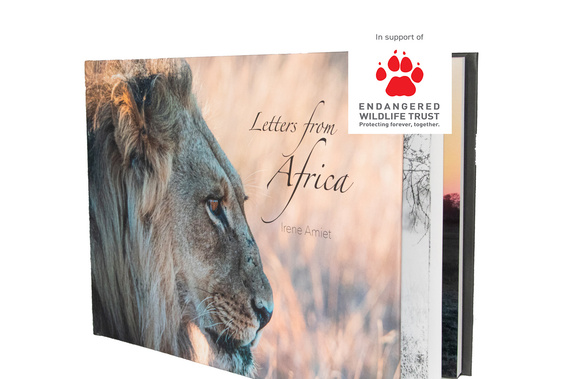 Coffee Table Book 