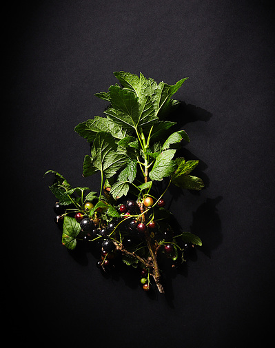 CONTENT CREATION PACKAGE REMOTE CREATOR STYLIST PHOTOGRAPHER FOOD PRODUCT PHOTOGRAPHY DERBY NOTTINGHAM MANCHESTER LONDON