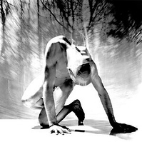 Image by Spencer Rowell
