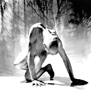 Image by Spencer Rowell