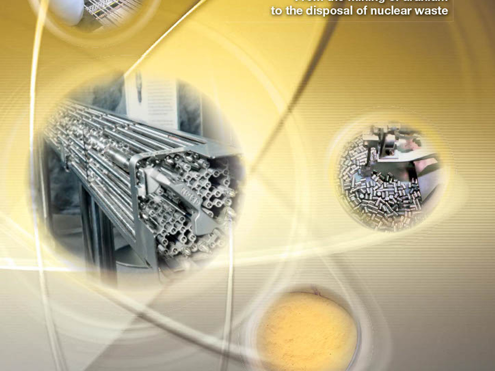 NUCLEAR FUEL CHAIN - Anti-Uranium Mapping Project
