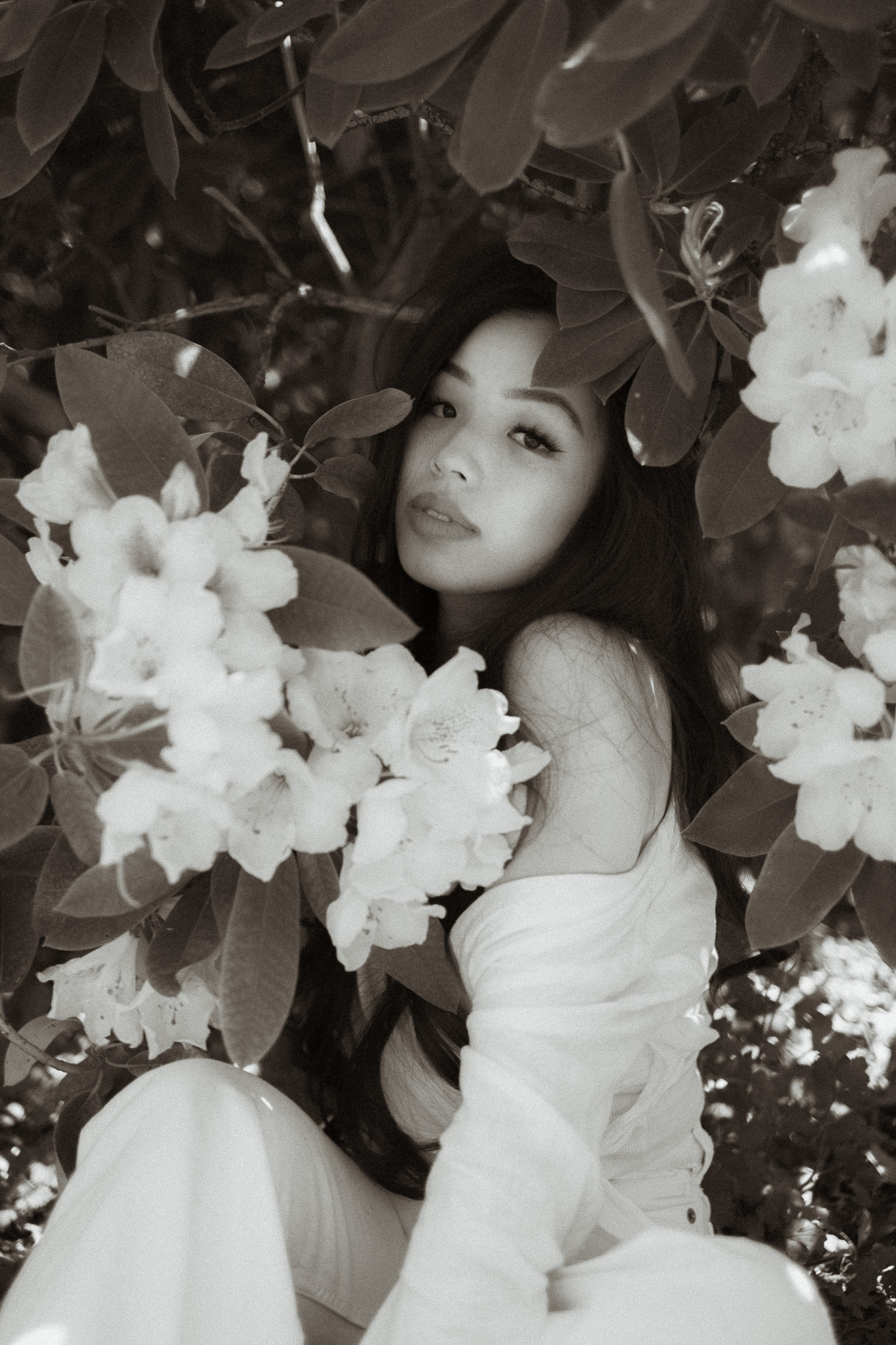 Seattle family portrait photography photographer . Senior portraits. Seattle senior portraits
new york taipei california orange county