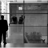 MOMA, New York.