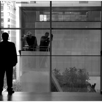 MOMA, New York.