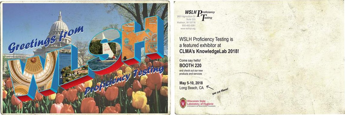 promotional postcard graphic design by maggie alex, fine artist and designer in Madison, WI