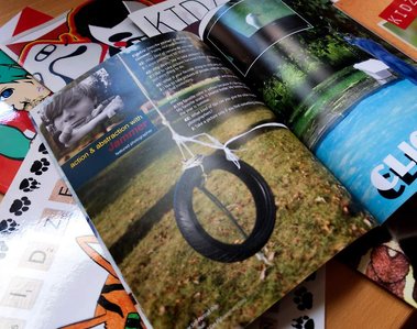 magazine multipage graphic design by maggie alex, fine artist and designer in Madison, WI