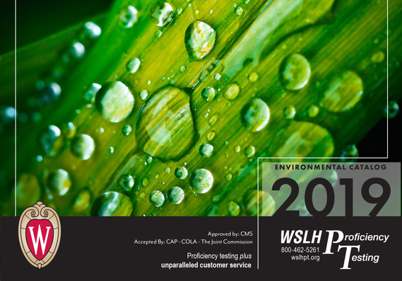multipage layout graphic design by maggie alex, fine artist and designer in Madison, WI