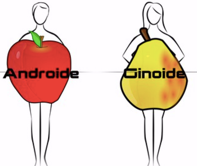 donna androide e donna ginoide, forma a mela e forma a pera