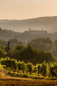 Thilo Weimar, wine photography, wine photographer, Weinfotografie, Weinfotograf