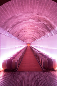 Thilo Weimar, wine photography, wine photographer, Weinfotografie, Weinfotograf, gruppo Moretti, Maremma, Suvereto 