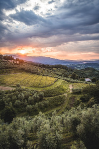 Thilo Weimar, wine photography, wine photographer, Weinfotografie, Weinfotograf