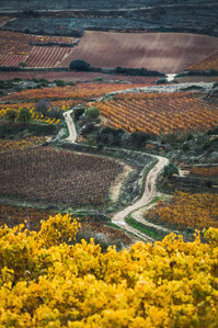 Thilo Weimar, wine photography, wine photographer, Weinfotografie, Weinfotograf