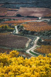 Thilo Weimar, wine photography, wine photographer, Weinfotografie, Weinfotograf