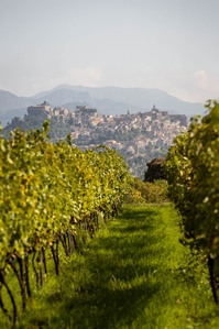Thilo Weimar, wine photography, wine photographer, Weinfotografie, Weinfotograf, Etna, Sicilia, Sizilien 