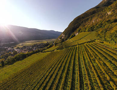 Thilo Weimar, wine photography, wine photographer, Weinfotografie, Weinfotograf
