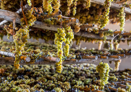 Thilo Weimar, wine photography, wine photographer, Weinfotografie, Weinfotograf, Vin Santo, Tocana, Toskana, Tuscany, Chianti