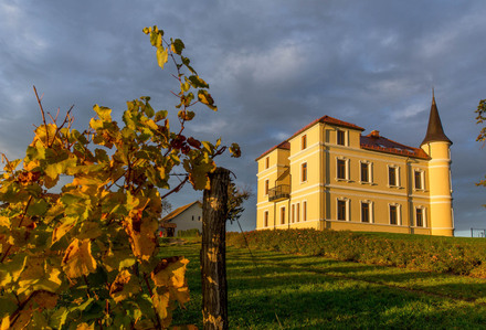 Thilo Weimar, wine photography, wine photographer, Weinfotografie, Weinfotograf 