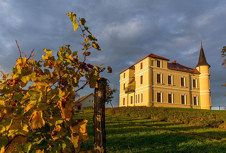 Thilo Weimar, wine photography, wine photographer, Weinfotografie, Weinfotograf 