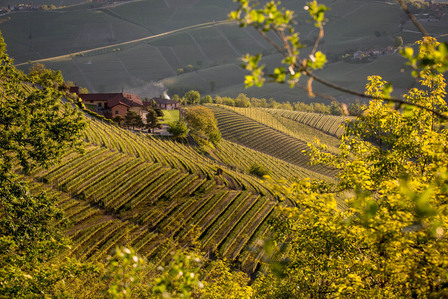 Thilo Weimar, wine photography, wine photographer, Weinfotografie, Weinfotograf