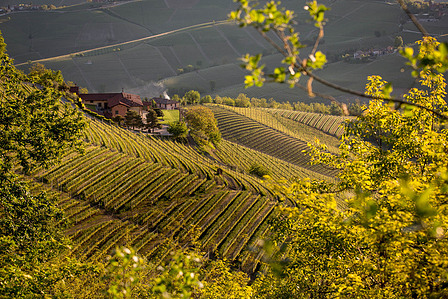 Thilo Weimar, wine photography, wine photographer, Weinfotografie, Weinfotograf
