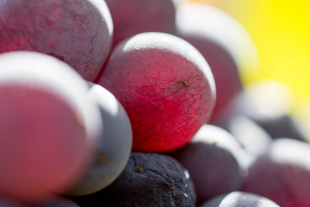 Thilo Weimar, wine photography, wine photographer, Weinfotografie, Weinfotograf, Etna, Sicilia, Sizilien 