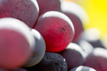 Thilo Weimar, wine photography, wine photographer, Weinfotografie, Weinfotograf, Etna, Sicilia, Sizilien 