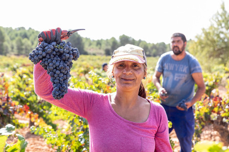 Thilo Weimar, wine photography, wine photographer, Weinfotografie, Weinfotograf