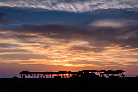 Thilo Weimar, wine photography, wine photographer, Weinfotografie, Weinfotograf, Maremma, Toscana, Toskana, Tuscany, Bolgheri, Castagneto Carducci, Super Tuscans