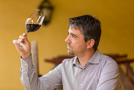 Thilo Weimar, wine photography, wine photographer, Weinfotografie, Weinfotograf, Antinori, Tuscany, Toscana, Toskana, Super Tuscan, Tignanello, Solaia