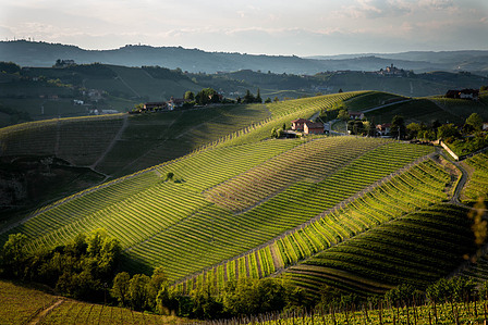 Thilo Weimar, wine photography, wine photographer, Weinfotografie, Weinfotograf, La Bussia 