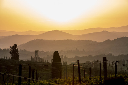 Thilo Weimar, wine photography, wine photographer, Weinfotografie, Weinfotograf