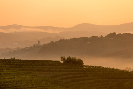 Thilo Weimar, wine photography, wine photographer, Weinfotografie, Weinfotograf