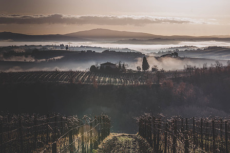 Thilo Weimar, wine photography, wine photographer, Weinfotografie, Weinfotograf