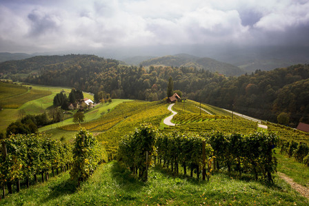 Thilo Weimar, wine photography, wine photographer, Weinfotografie, Weinfotograf