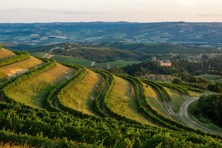 Thilo Weimar, wine photography, wine photographer, Weinfotografie, Weinfotograf, Umbrien, Antinori 